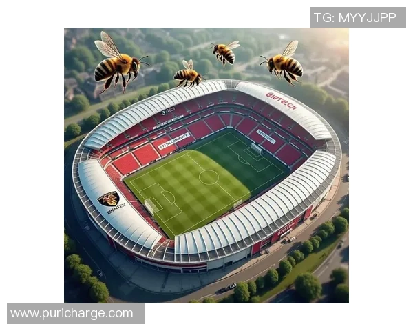 探索mkf足球的魅力与激情，带你领略不一样的足球世界与精彩赛事体验